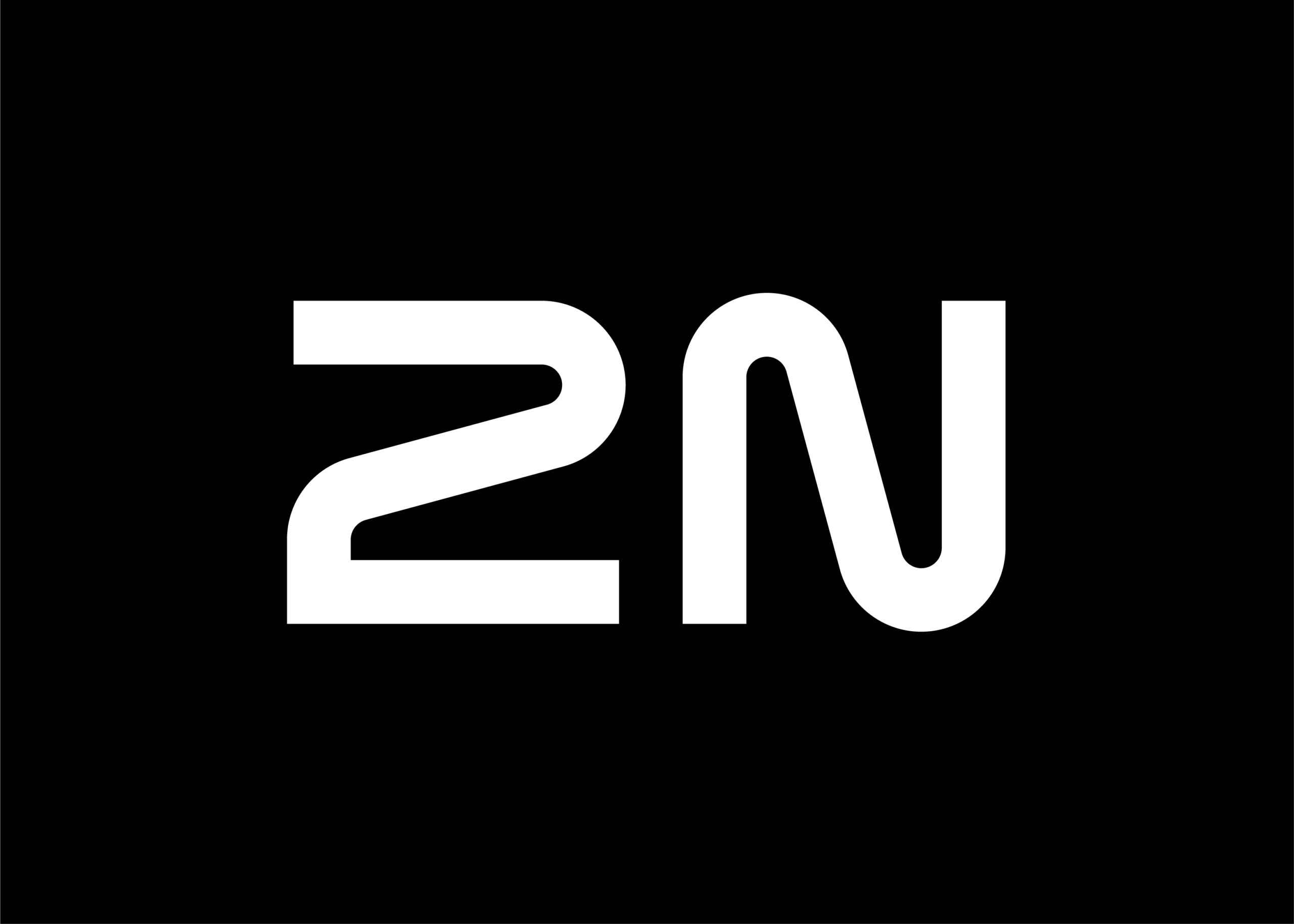 2N_Logo_RGB_White